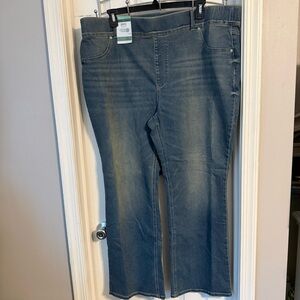 Terra & Sky women’s jeggings